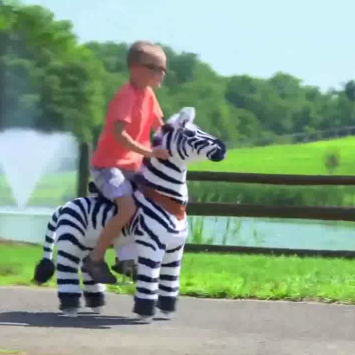 Maxim's Ride on Zebra toy